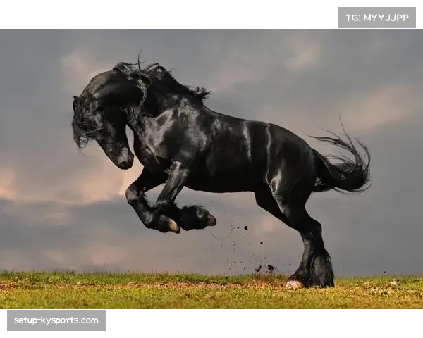 布赖合作九胜一平一负 黑马之势冲击传统格局